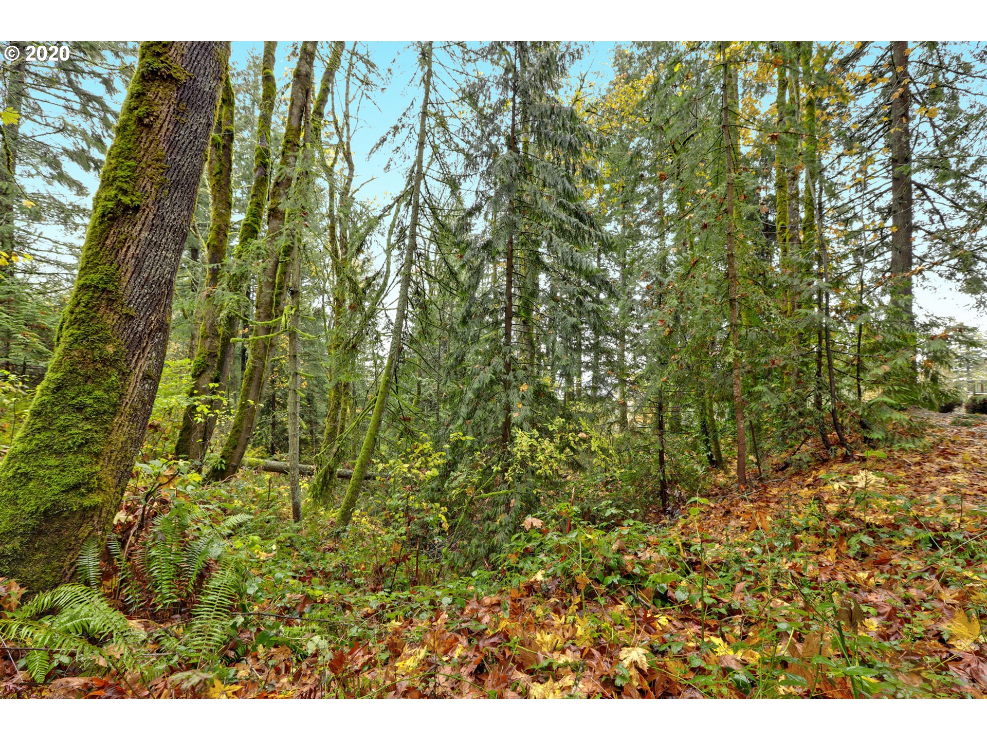 13317 Northwest Germantown Road Portland, OR 97231 - Photo 28 of 32 Gallery Image 28