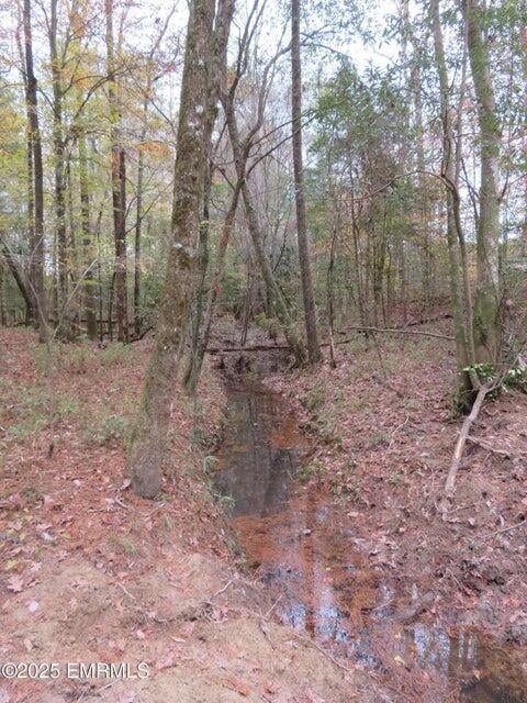 301 Co Road Heidelberg, MS 39439 - Photo 15 of 28 20251204211623555456000000-o