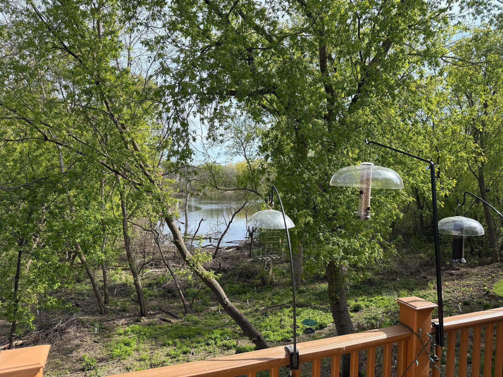 15595 Cherry Path Rosemount, MN 55068 - Photo 58 of 81