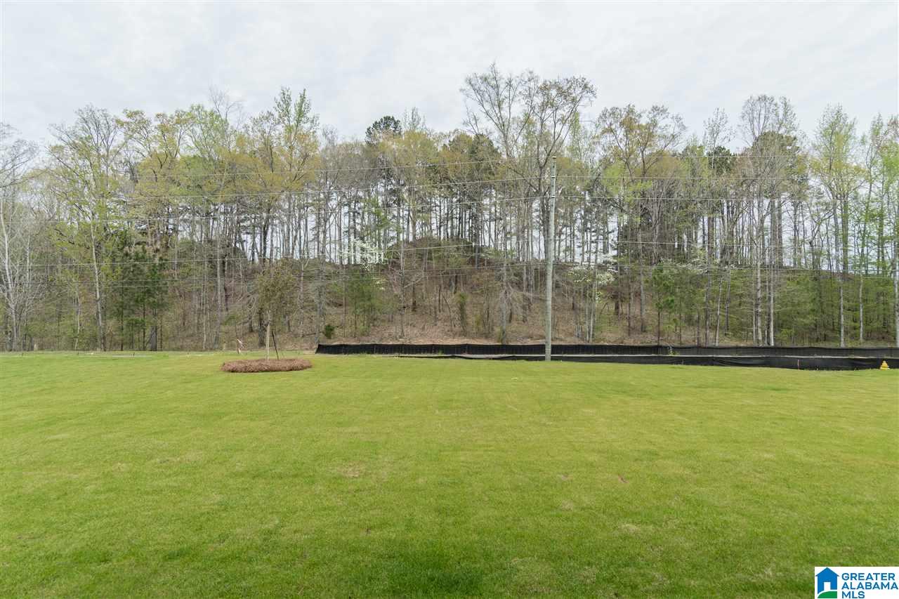 232 Ambergate Circle Pelham, AL 35124 - Photo 50 of 50