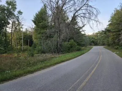 $97,000 | V/l Lake Drive, Idlewild, MI 49642