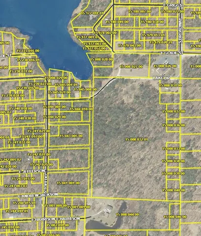 $97,000 | V/l Lake Drive, Idlewild, MI 49642