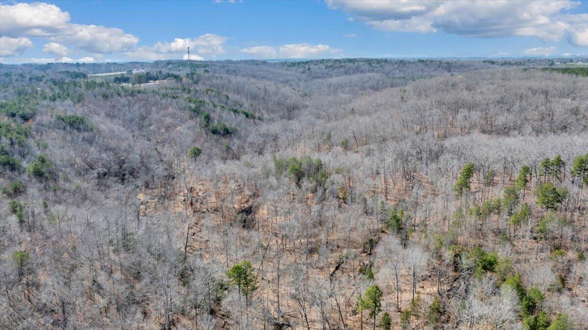 0 Edmunds Road Gretna, VA 24557 - Photo 11 of 35 64-DJI_20260312030211_0310_D