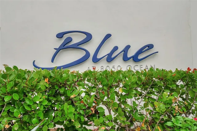 a close up of a bunch of flowers