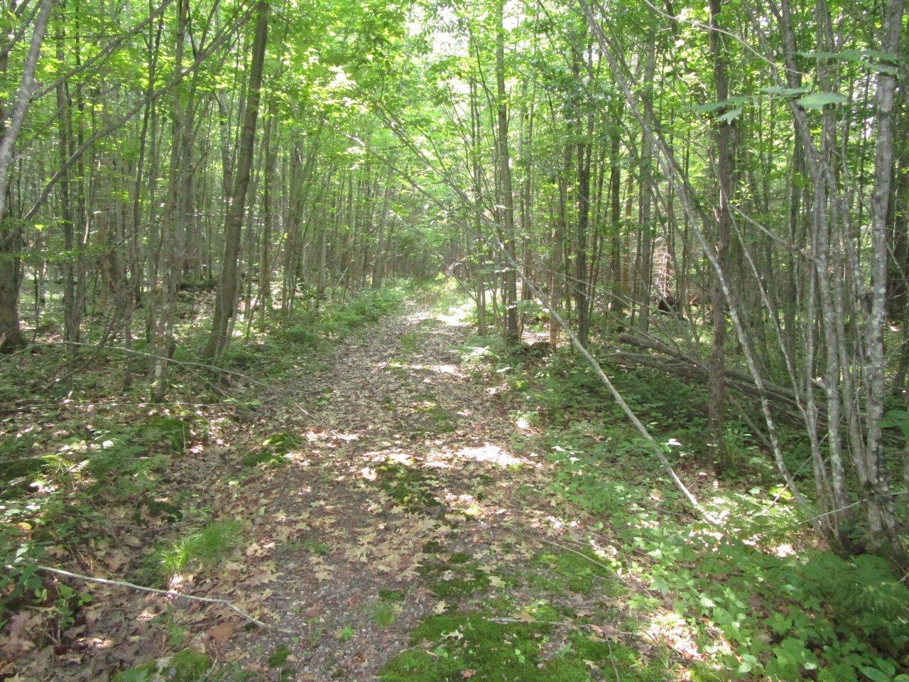 W11093 Oak Ridge Lane Kennan, WI 54537 - Photo 20 of 30 Gallery Image 20