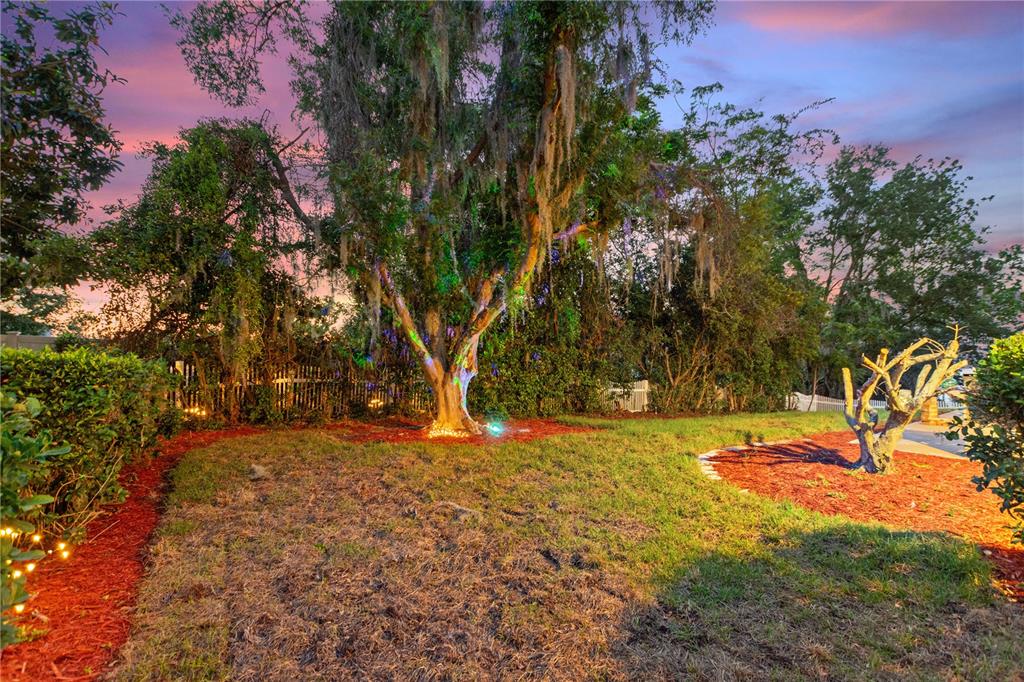 12432 Lake Ridge Circle Clermont, FL 34711 - Photo 76 of 85 Gallery Image 76