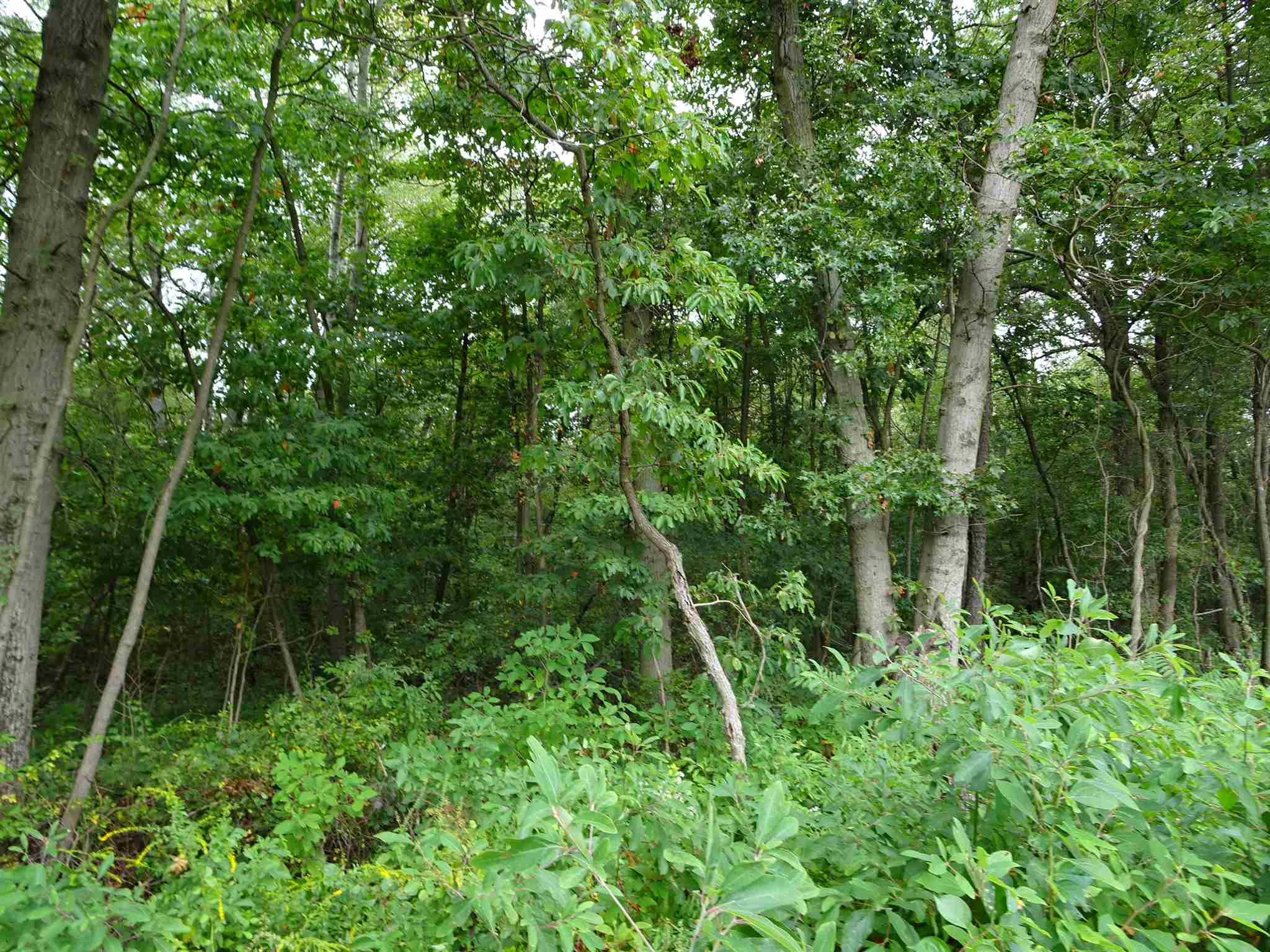605 East Culver Road Knox, IN 46534 - Photo 14 of 15 Gallery Image 14