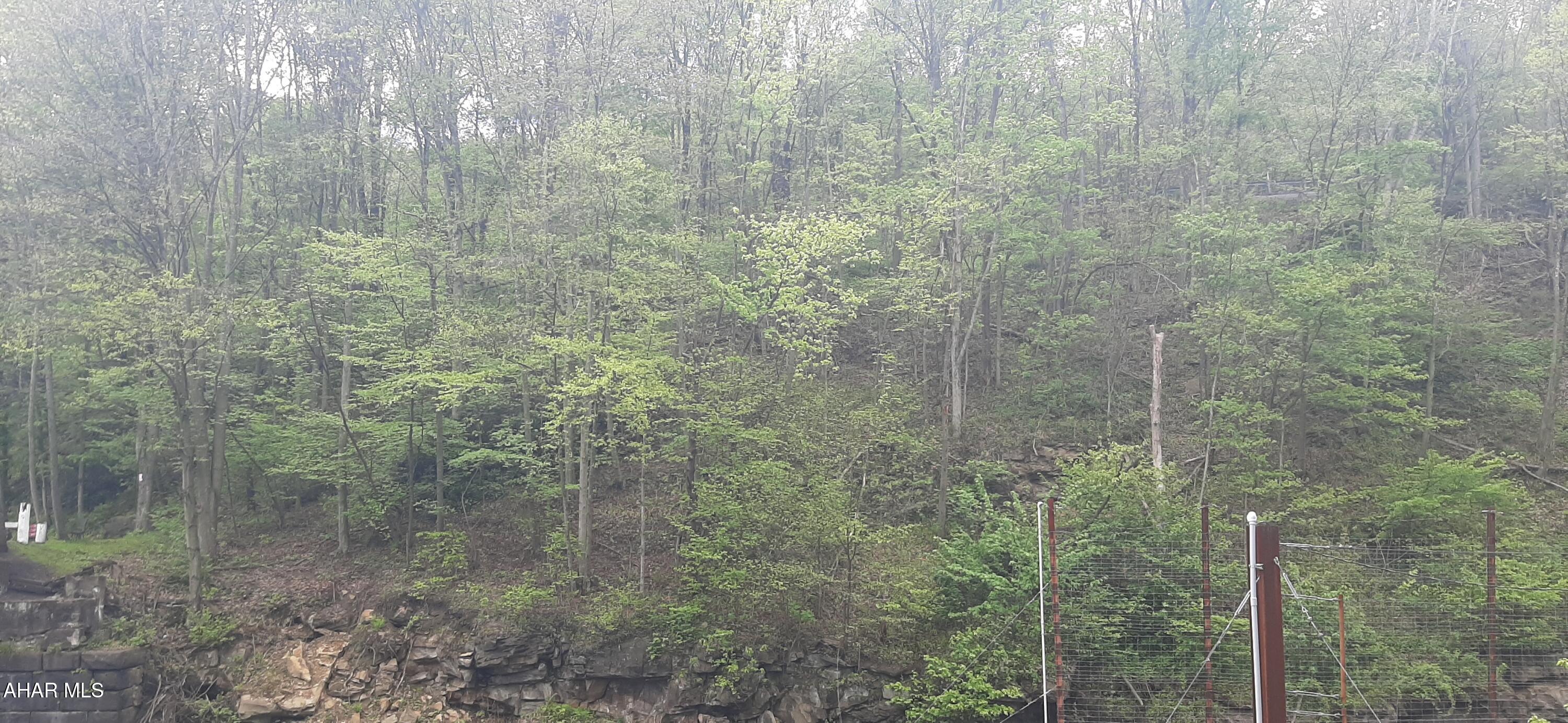 0 Scanlon Hill Road Lilly, PA 15938 - Photo 2 of 7