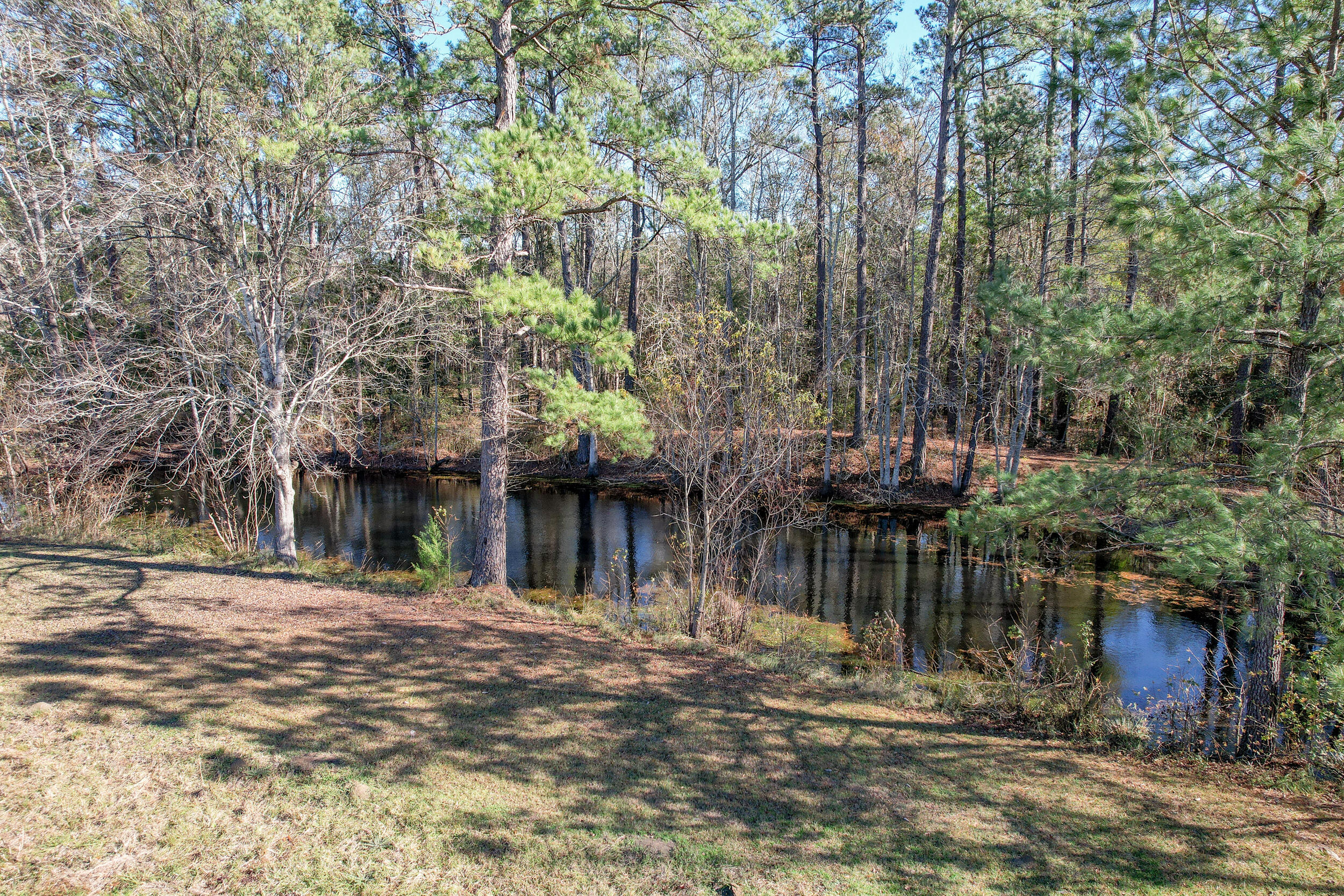 5473 Saints Delight Road Georgetown, SC 29440 - Photo 13 of 55 DJI_0030
