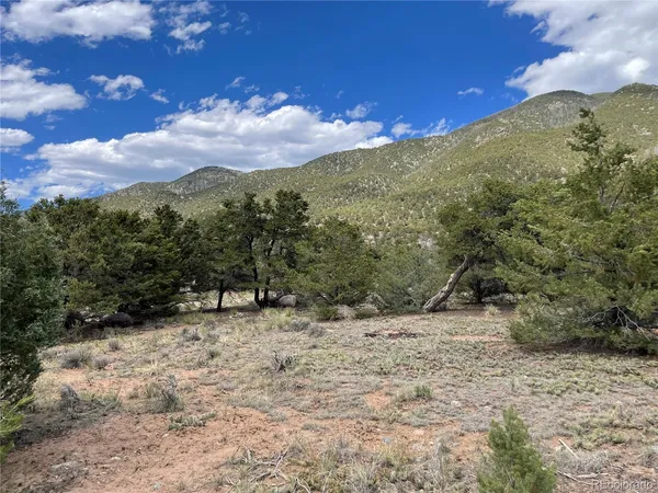$10,000 | 4303 Fallen Tree Way, Crestone, CO 81131