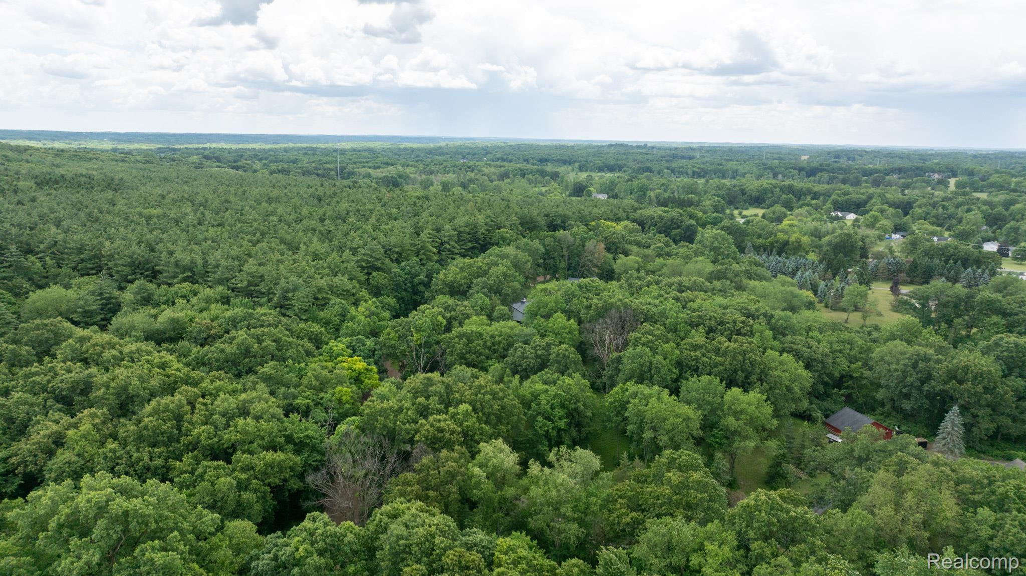 7333 Toma Road Dexter, MI 48130 - Photo 41 of 45 Expansive treed landscape with a significant proportion of mature deciduous and coniferous trees