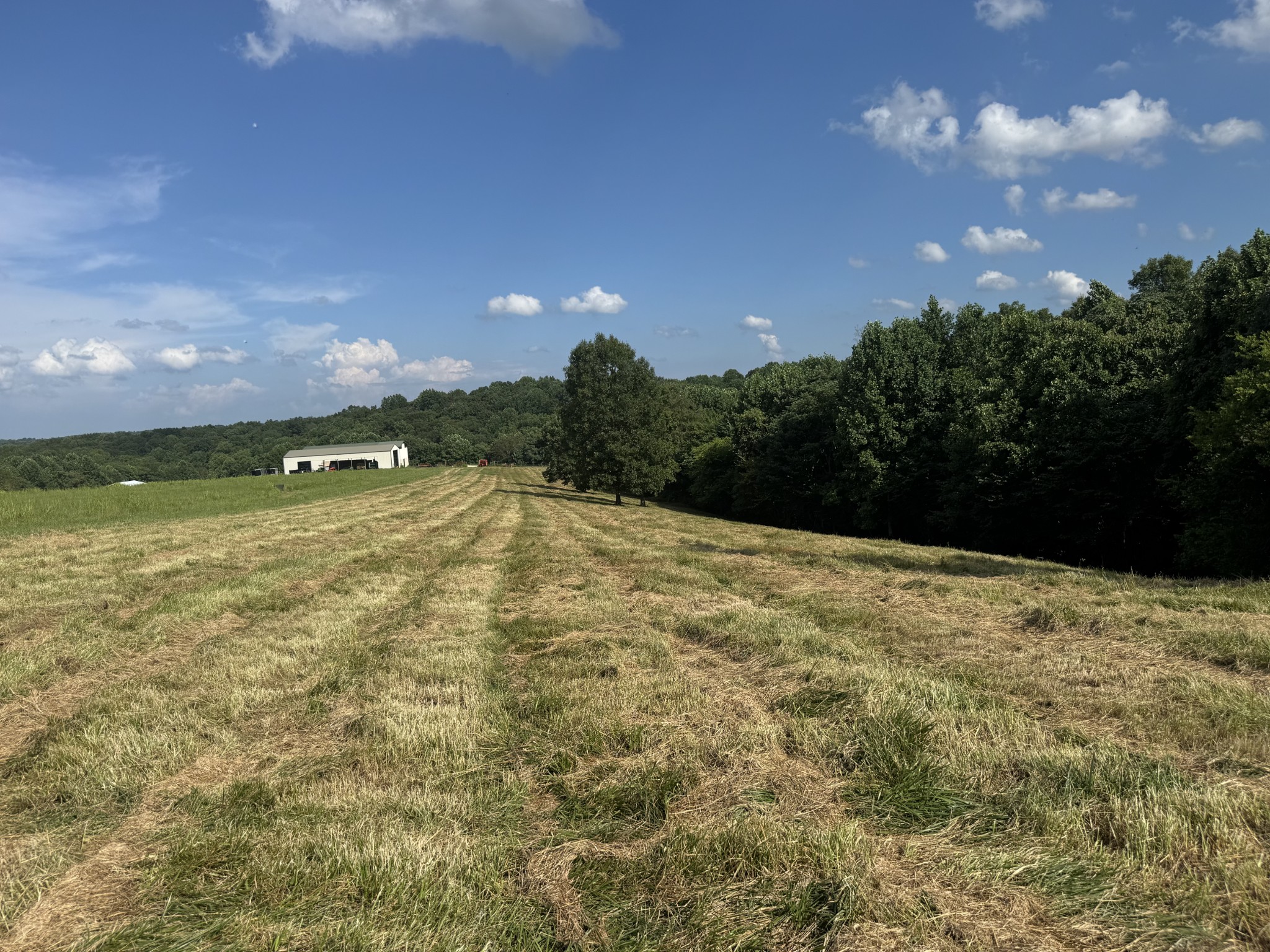 5370 Galen Road Lafayette, TN 37083 - Photo 11 of 48 a view of outdoor space and yard