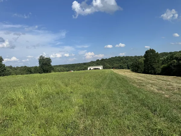 a view of a green field