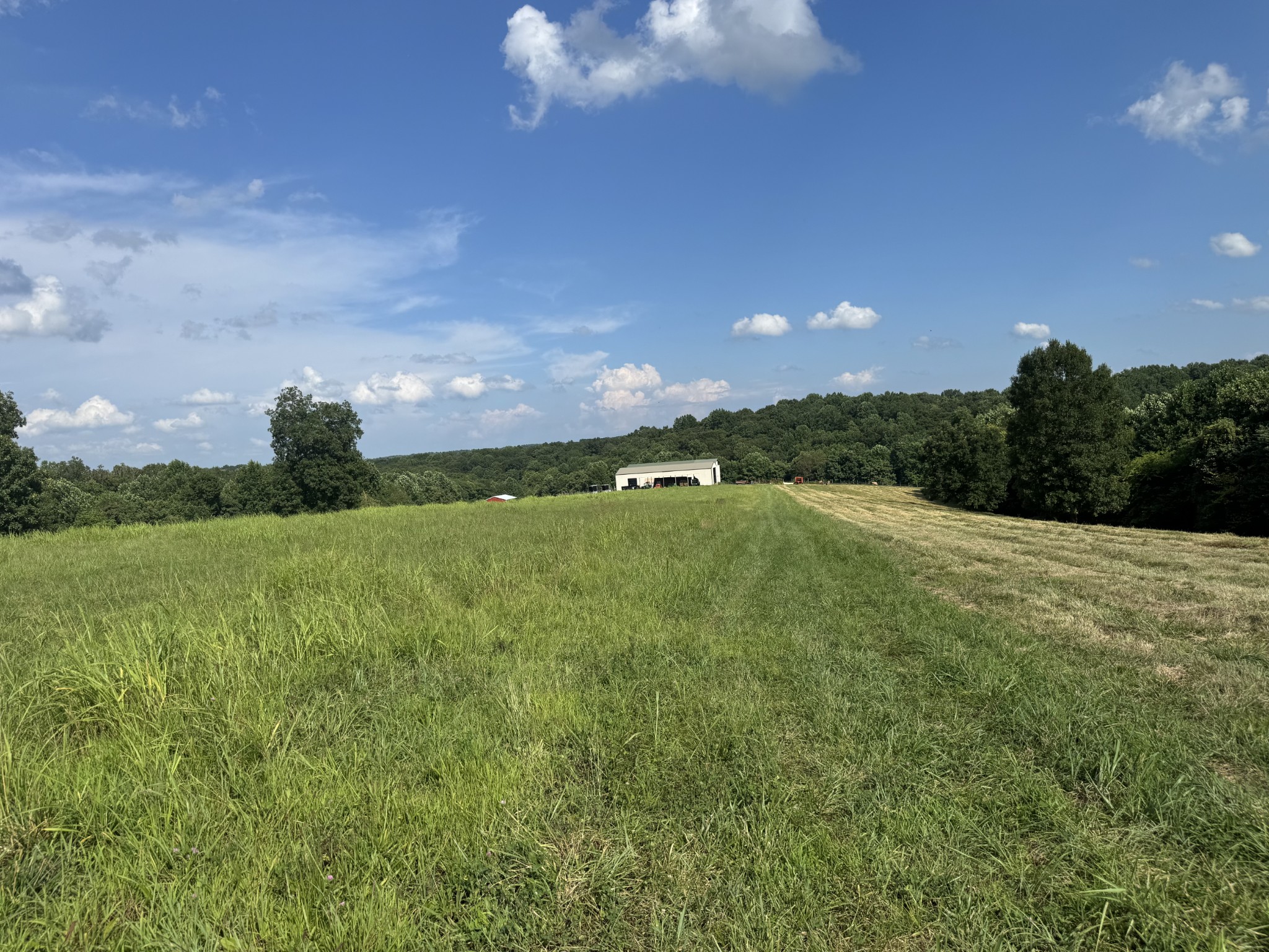 5370 Galen Road Lafayette, TN 37083 - Photo 12 of 48 a view of a green field