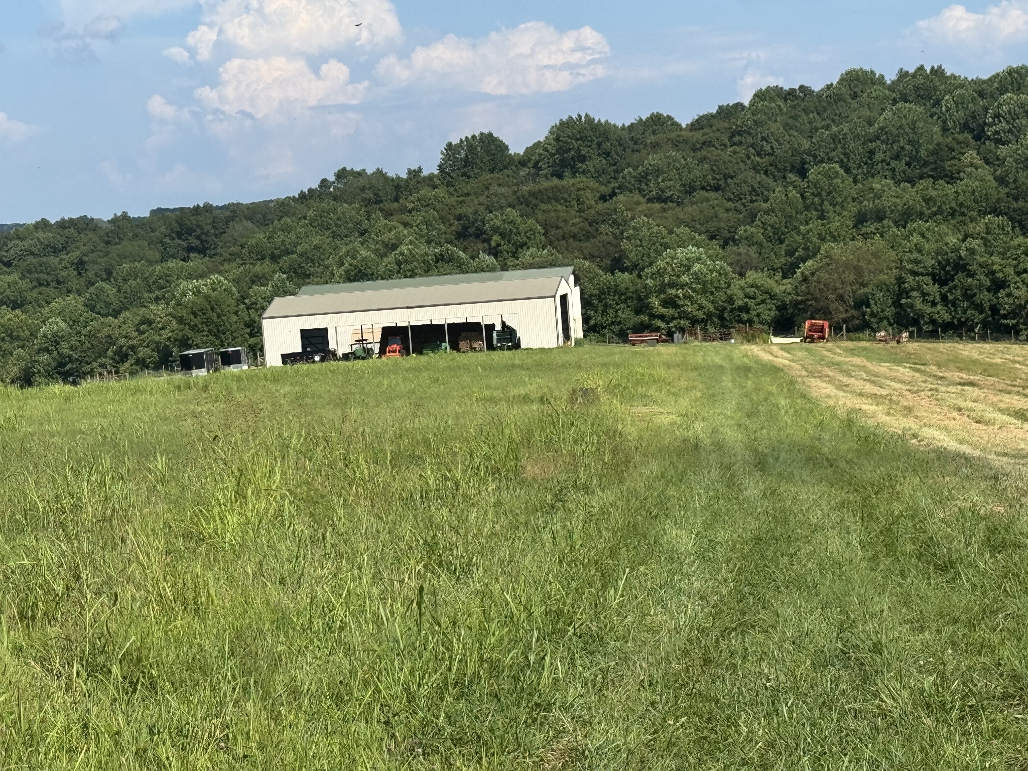 5370 Galen Road Lafayette, TN 37083 - Photo 13 of 48 a view of a big yard with large trees