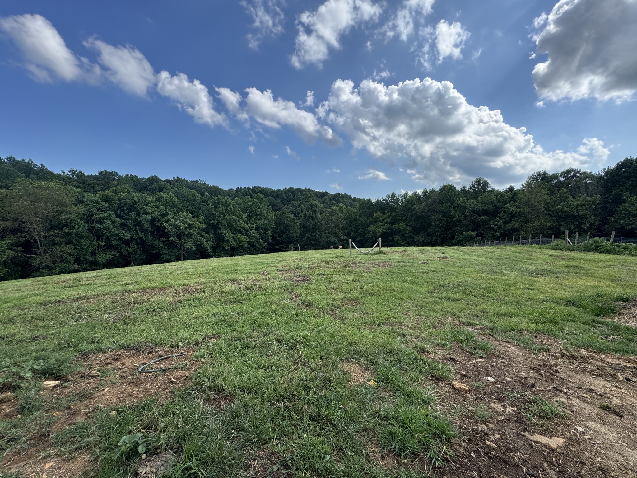 5370 Galen Road Lafayette, TN 37083 - Photo 15 of 48 a view of a field with a yard
