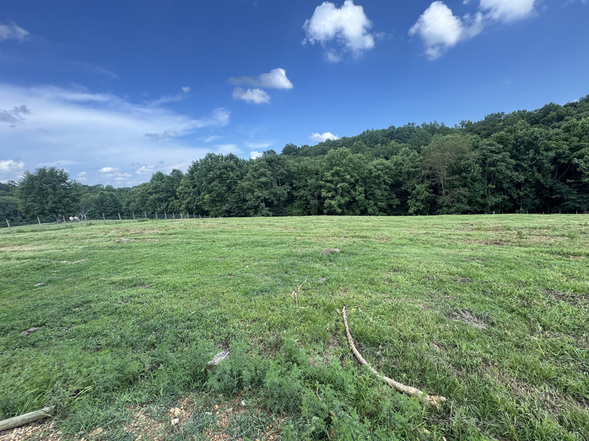 5370 Galen Road Lafayette, TN 37083 - Photo 16 of 48 a view of a tennis court