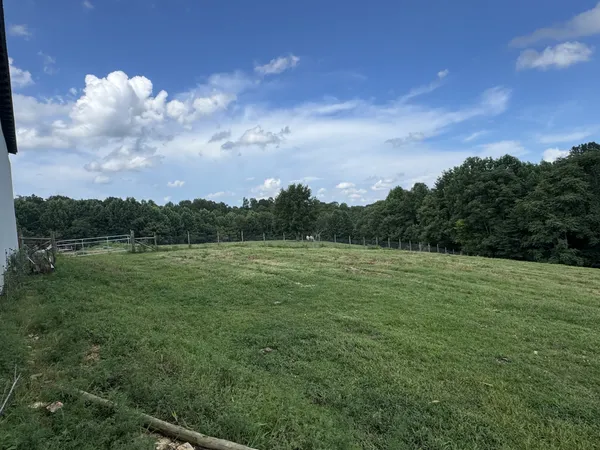 a view of outdoor space with green field and trees