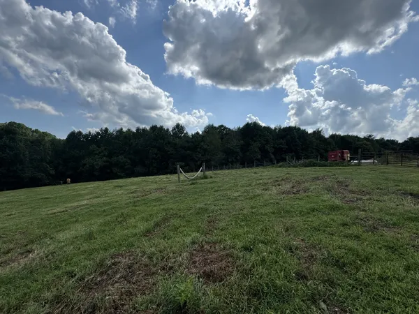 a view of outdoor space and yard