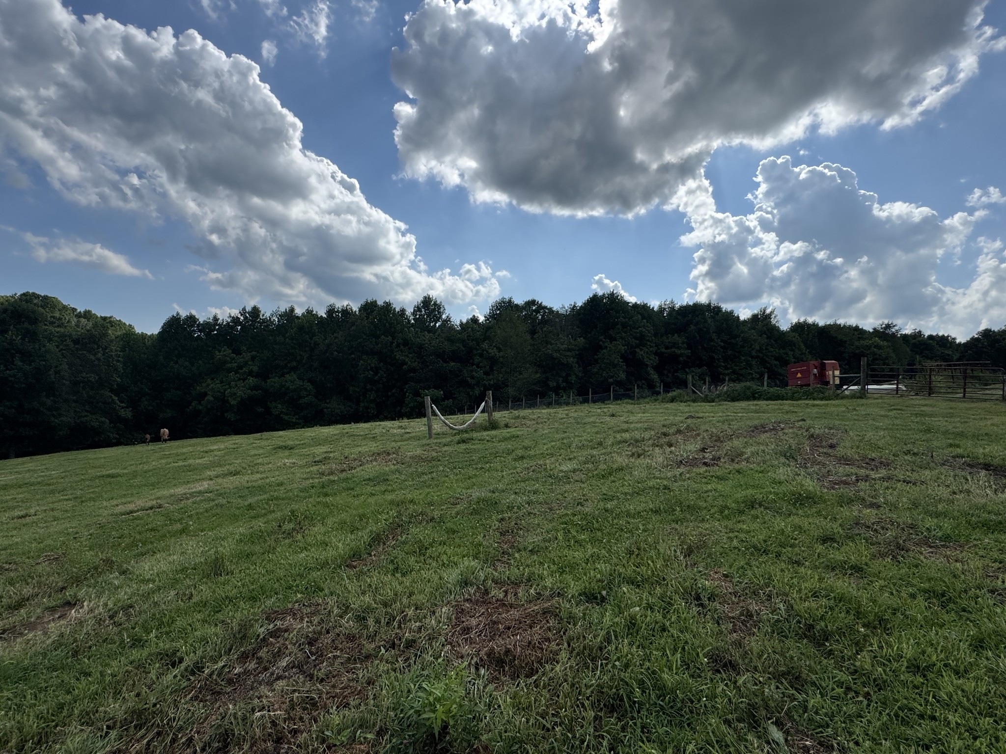 5370 Galen Road Lafayette, TN 37083 - Photo 18 of 48 a view of outdoor space and yard
