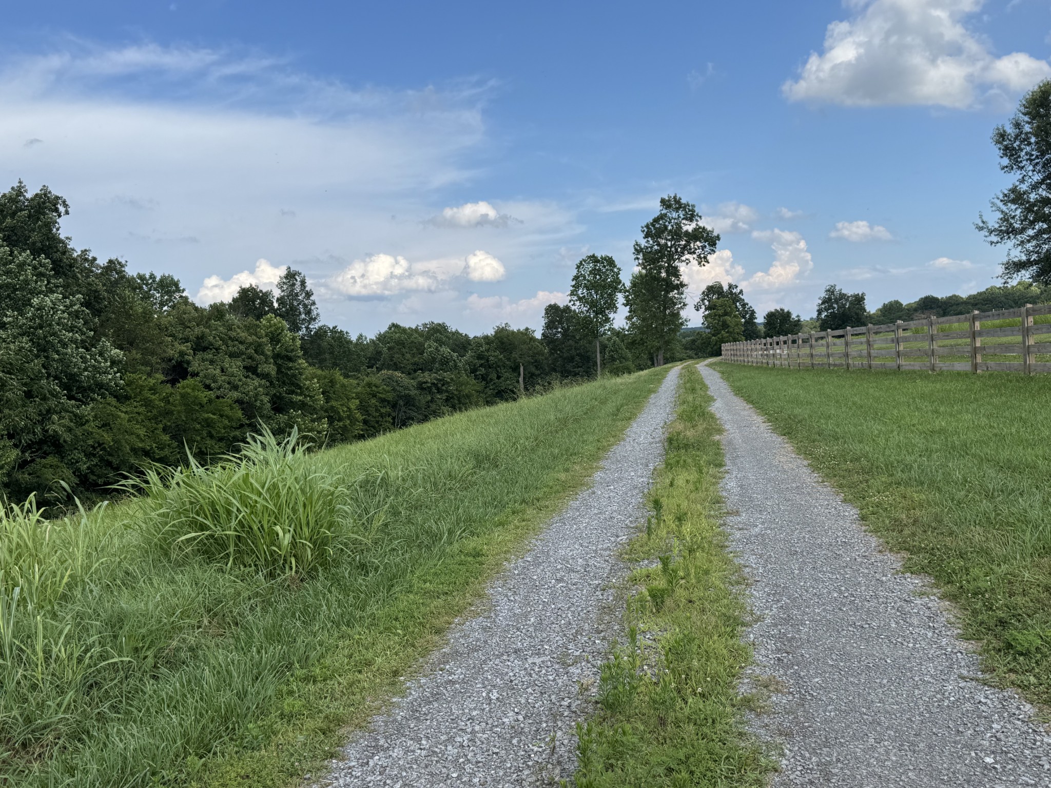 5370 Galen Road Lafayette, TN 37083 - Photo 2 of 48 a view of a pathway both side of grassy field with shrub