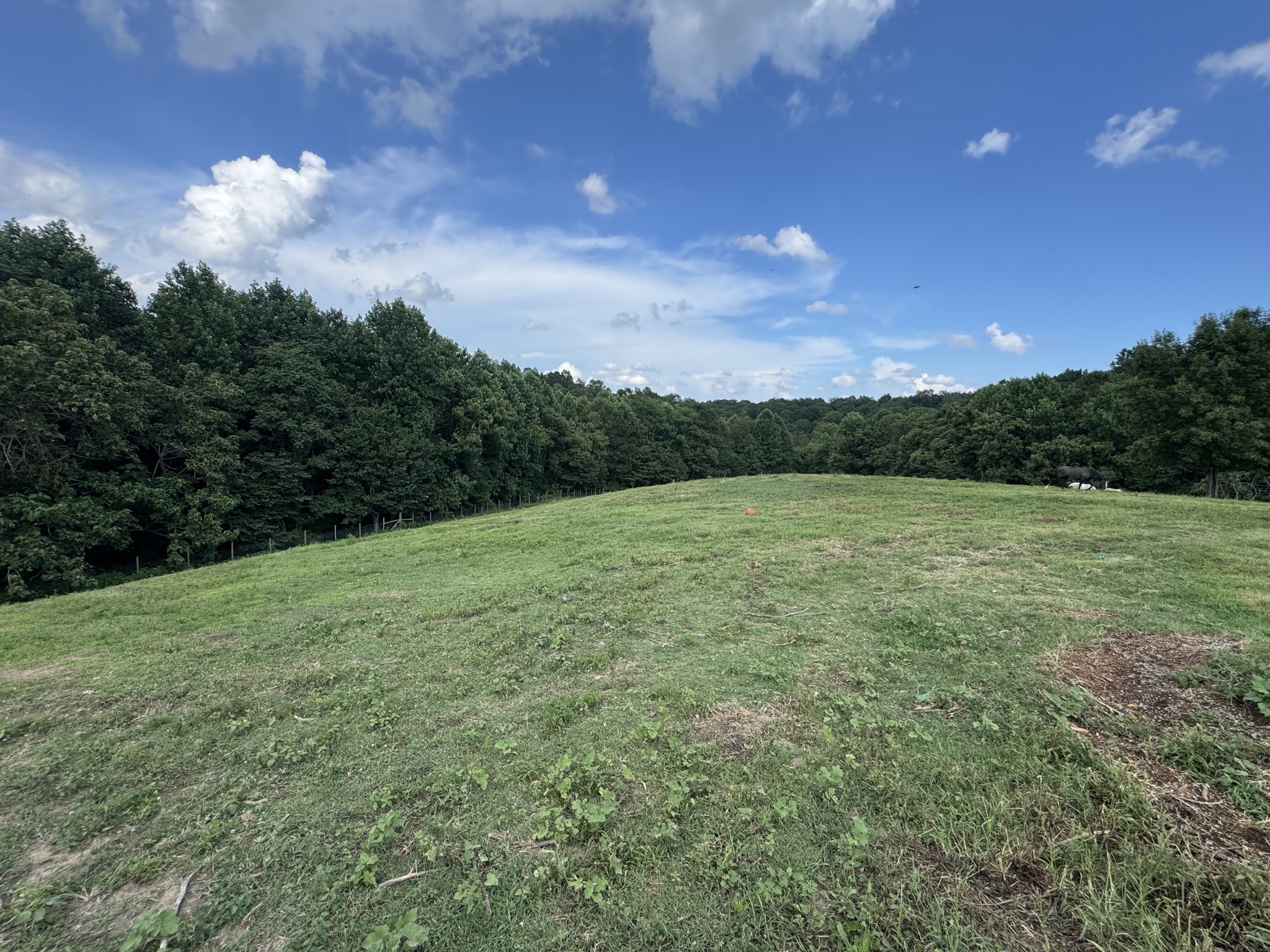 5370 Galen Road Lafayette, TN 37083 - Photo 22 of 48 a view of a lake with a city