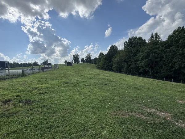 a view of a big yard
