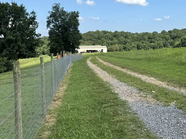 a view of a park with large trees
