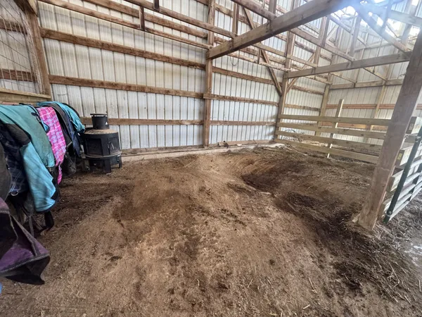 a view of backyard with small cabin