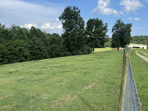 a backyard of a house with lots of green space