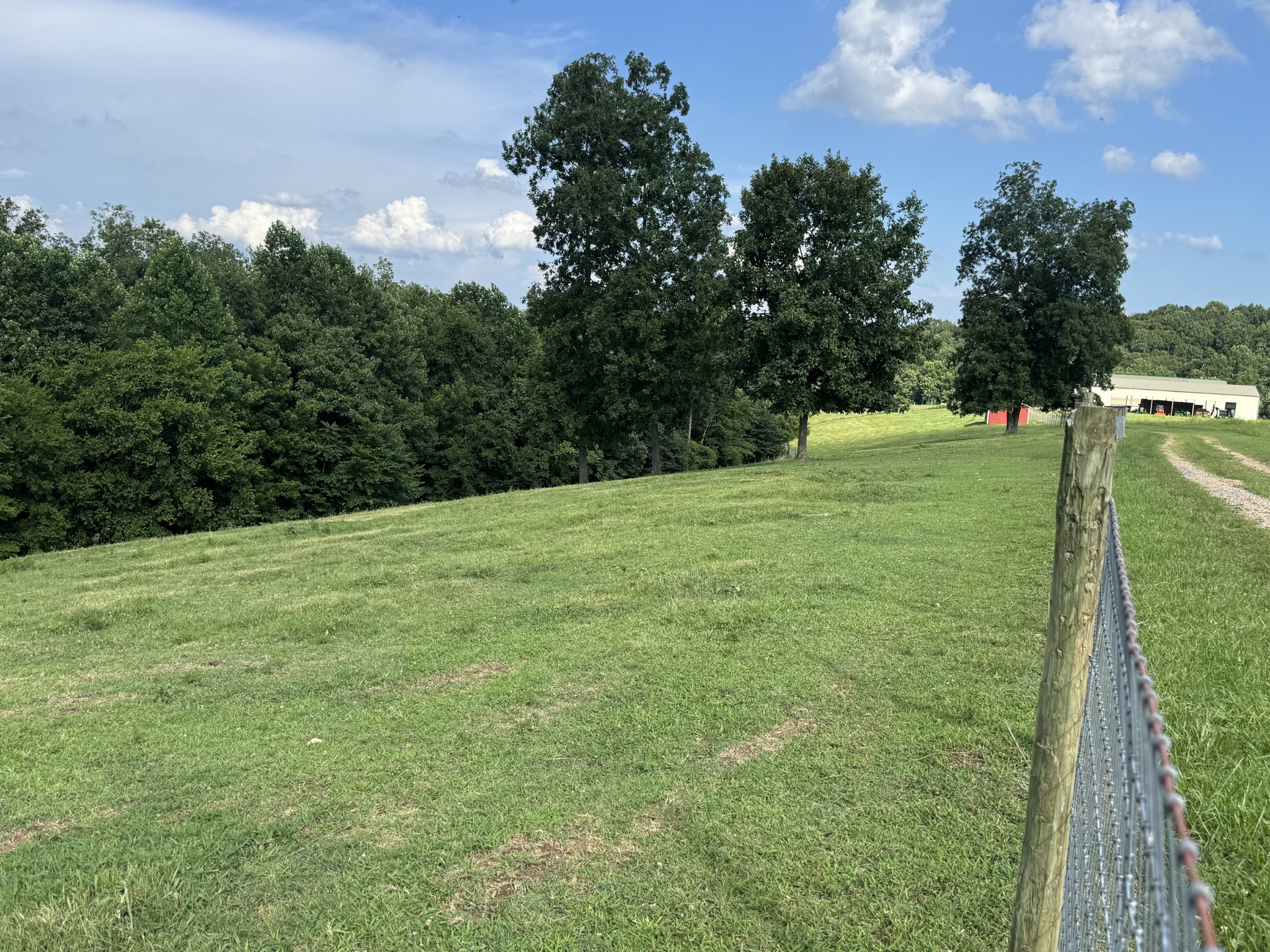 5370 Galen Road Lafayette, TN 37083 - Photo 4 of 48 a backyard of a house with lots of green space