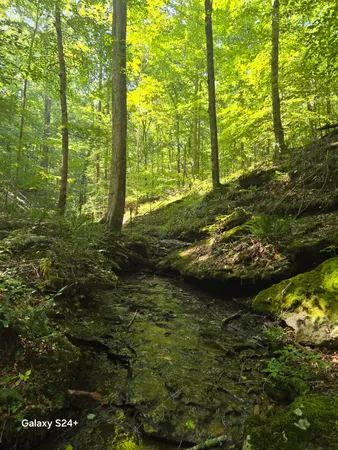 a view of a pathway of a building