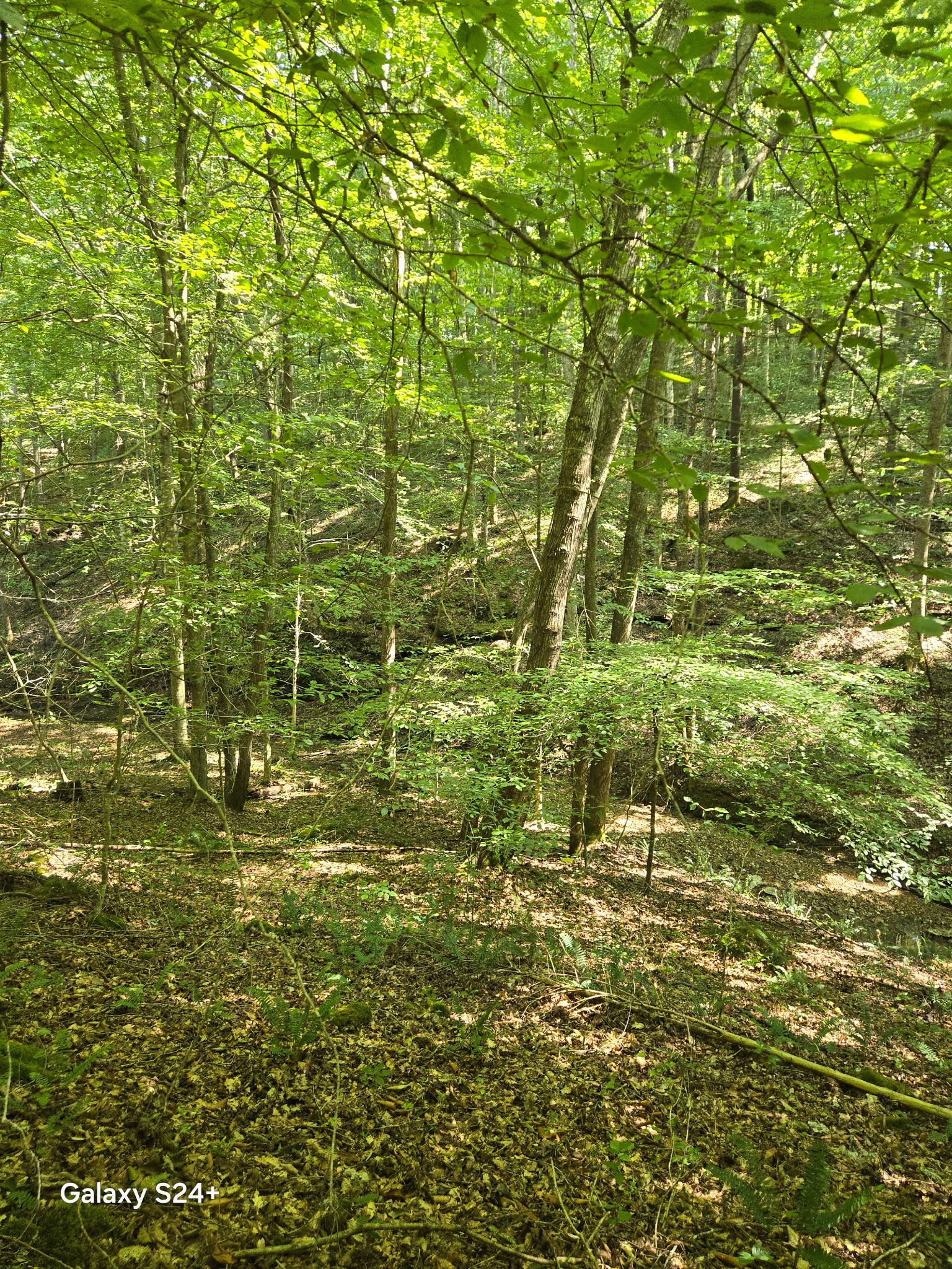 5370 Galen Road Lafayette, TN 37083 - Photo 43 of 48 a view of a pathway of a building