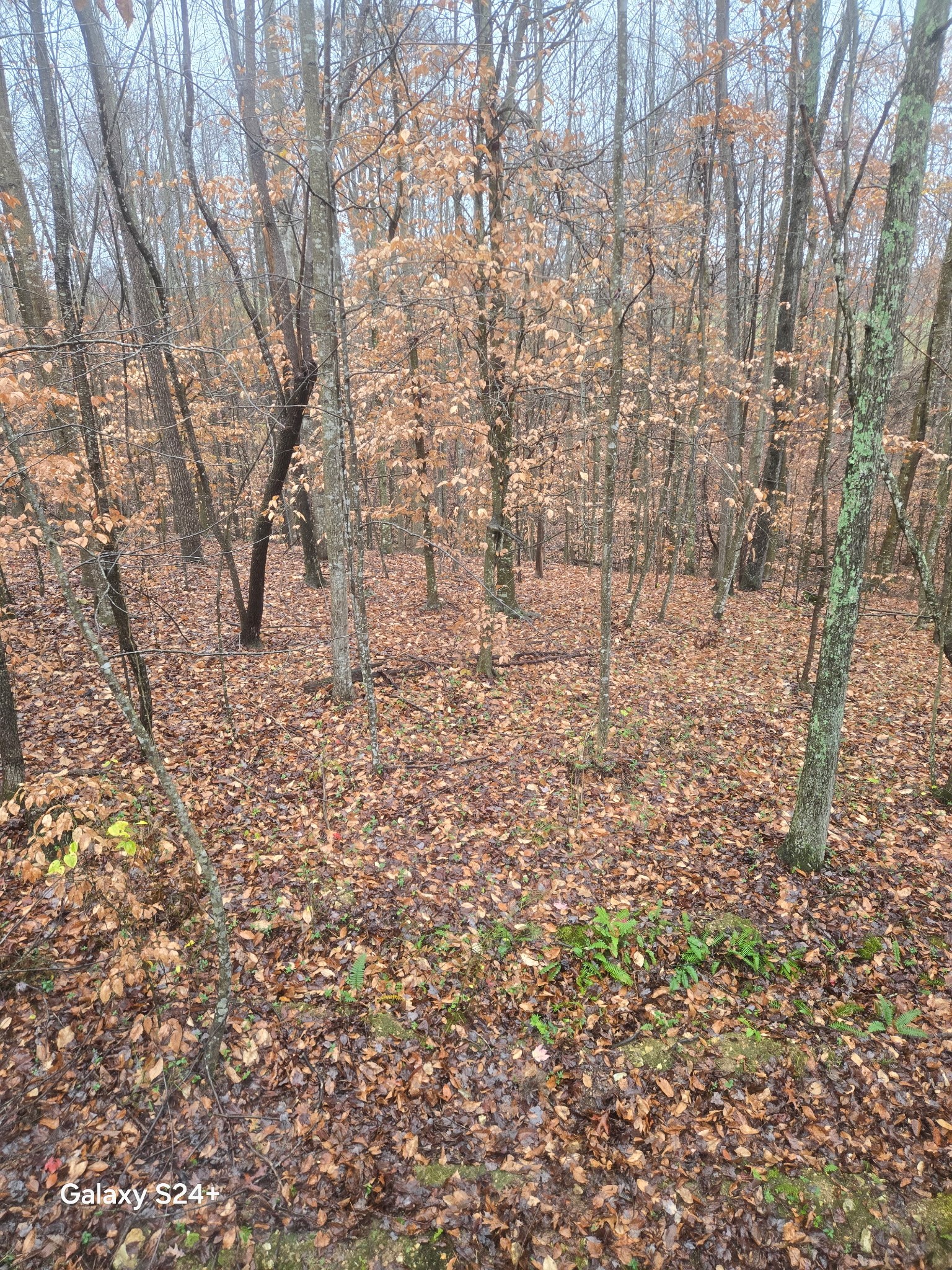 5370 Galen Road Lafayette, TN 37083 - Photo 47 of 48