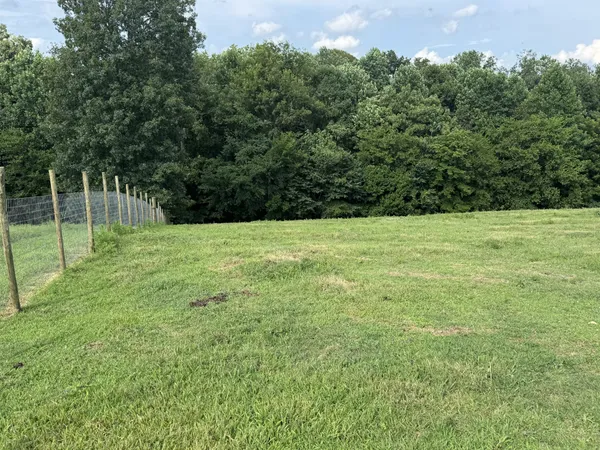 a view of an outdoor space and a yard