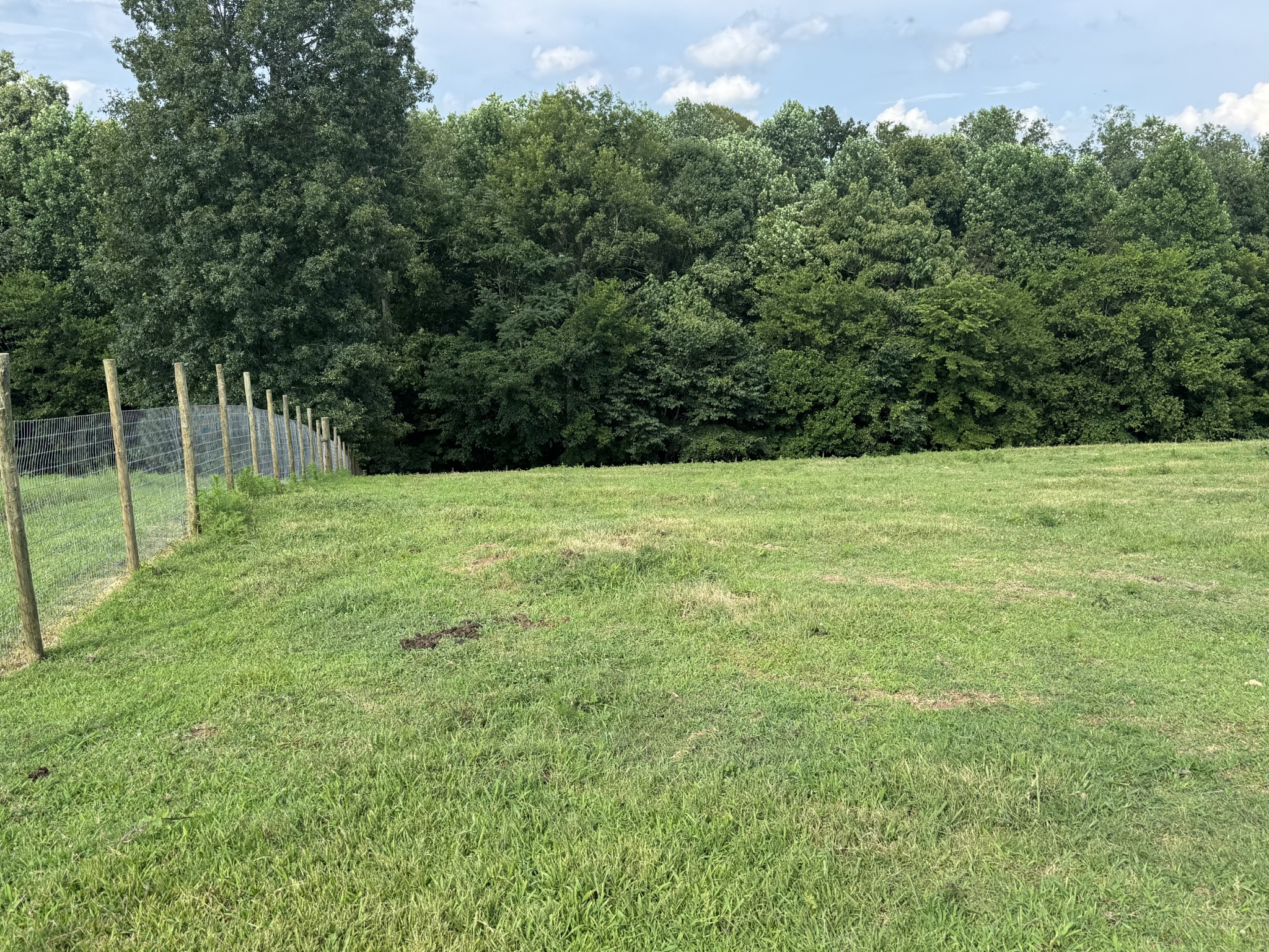 5370 Galen Road Lafayette, TN 37083 - Photo 5 of 48 a view of an outdoor space and a yard