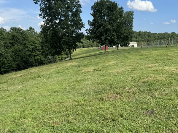 a view of grassy field with trees