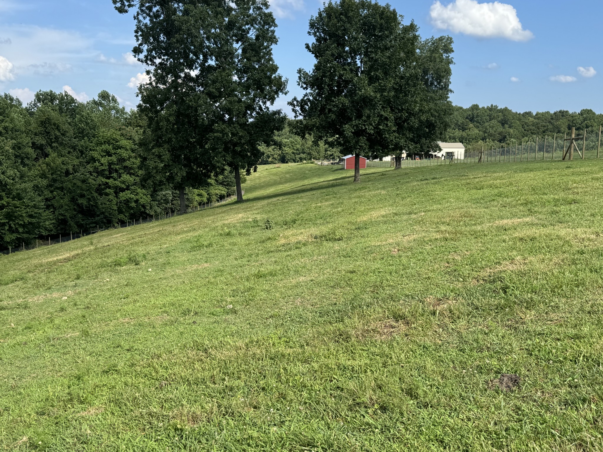5370 Galen Road Lafayette, TN 37083 - Photo 6 of 48 a view of grassy field with trees