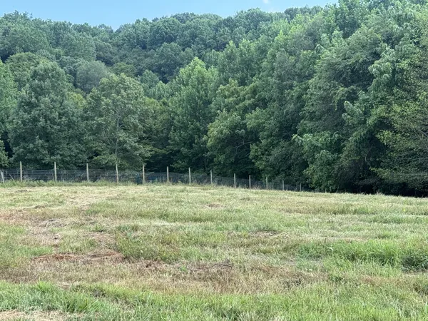 a view of outdoor space with deck and yard
