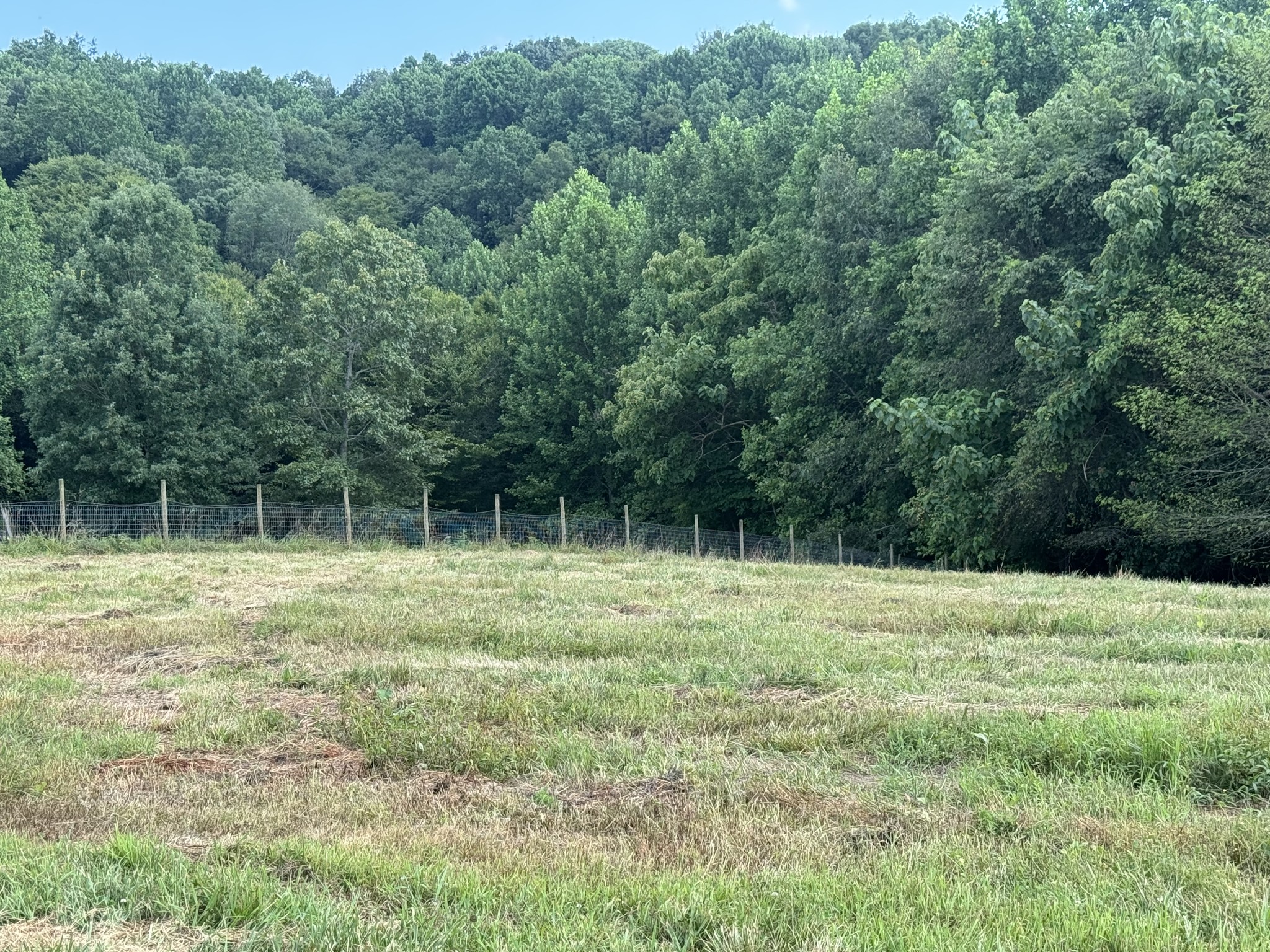 5370 Galen Road Lafayette, TN 37083 - Photo 9 of 48 a view of outdoor space with deck and yard