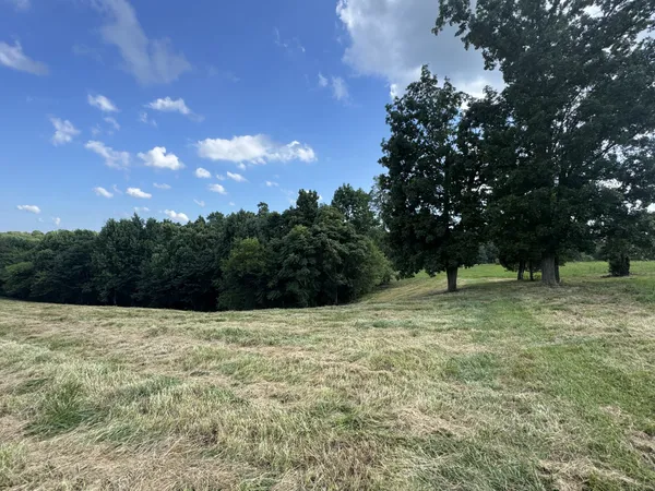 a view of outdoor space with trees