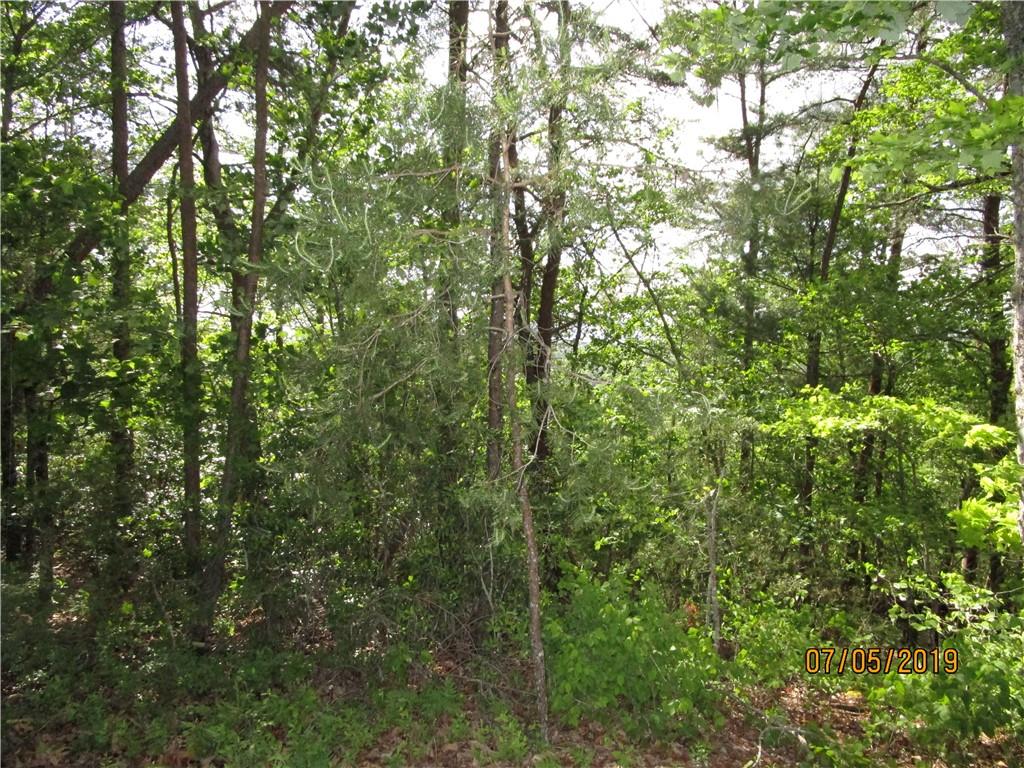 Tract Hanes Road Northeast Ranger, GA 30734 - Photo 1 of 1