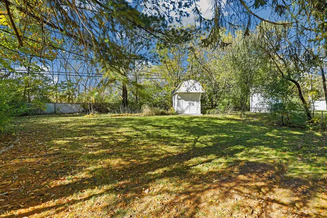 a view of a park with large trees