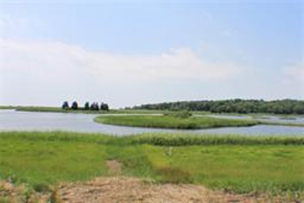 165 Great Neck Road Wareham, MA 02571 - Photo 3 of 4 a view of a lake with a big yard