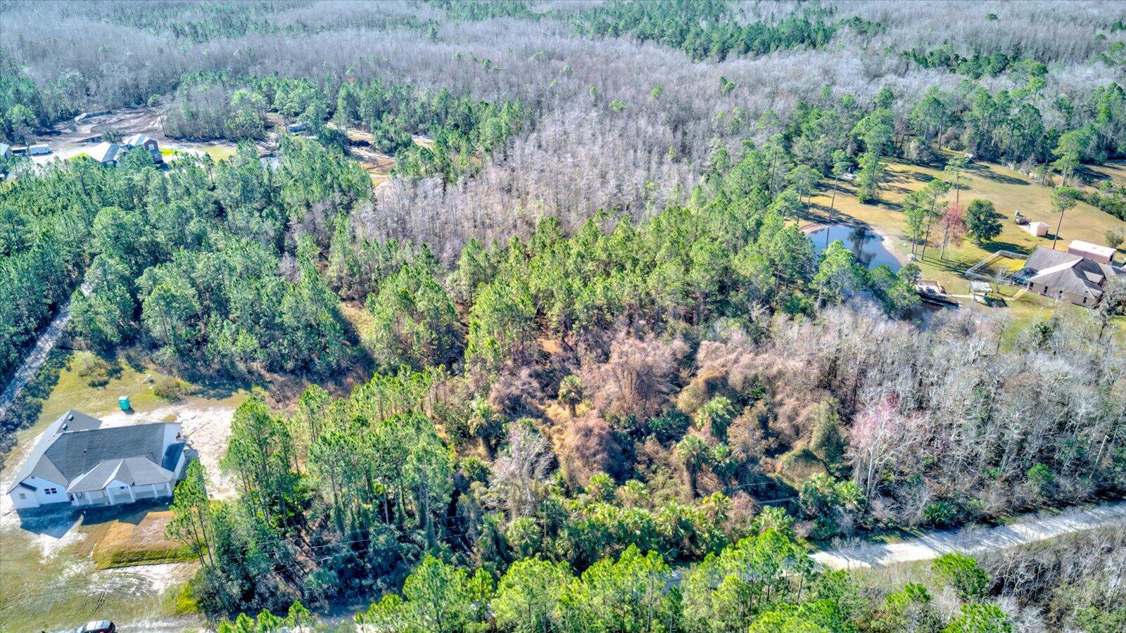 0 Rodeo Acres Drive Ormond Beach, FL 32174 - Photo 18 of 20 a view of a garden with a tree