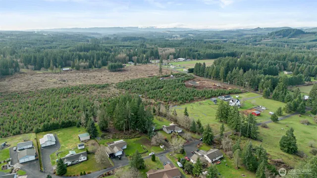 a view of a garden with mountains in the back
