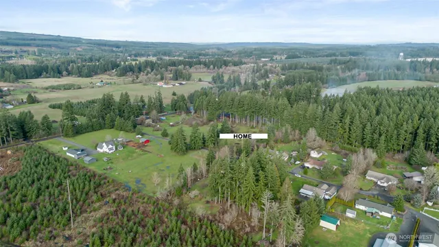 a view of a lush green forest with trees and some houses