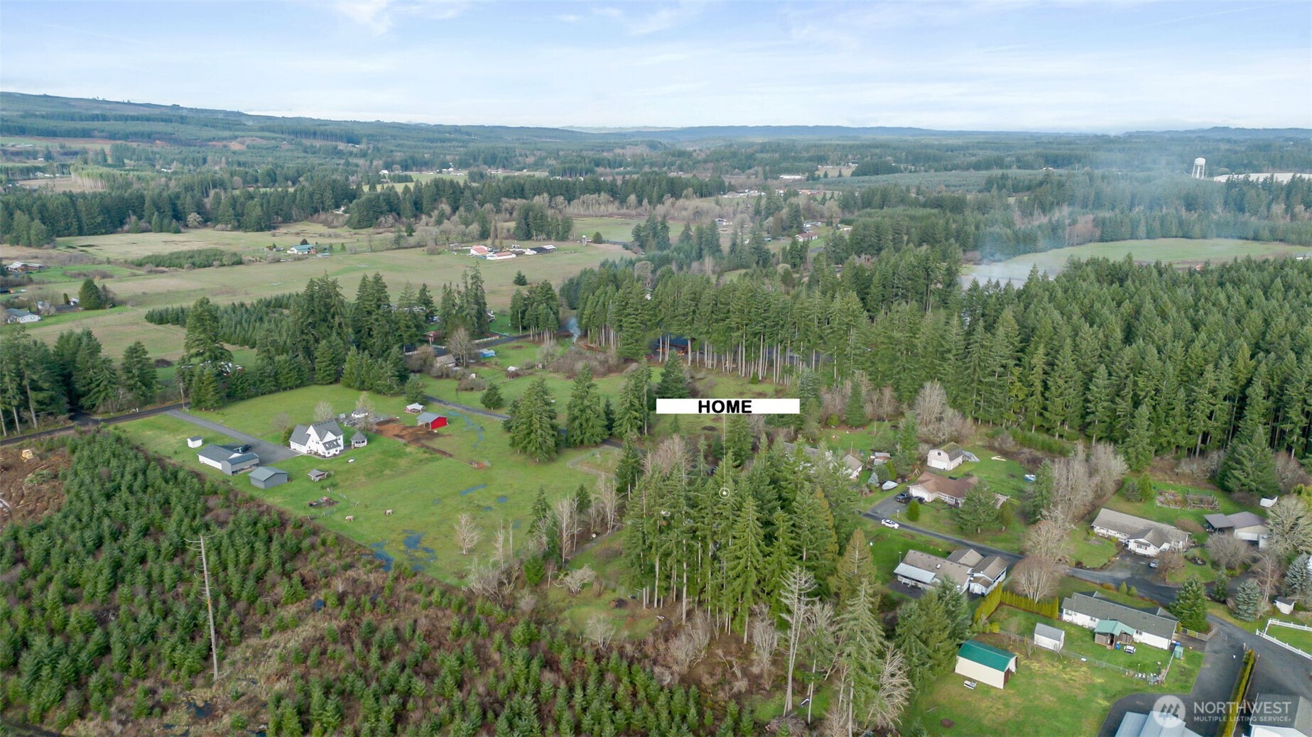126 Bethany Lane Winlock, WA 98596 - Photo 30 of 37 a view of a lush green forest with trees and some houses