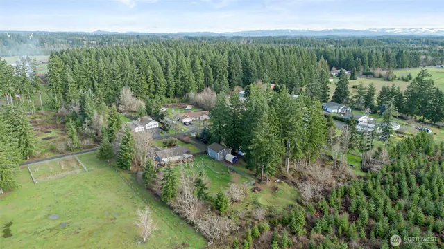 a view of a green yard with large trees