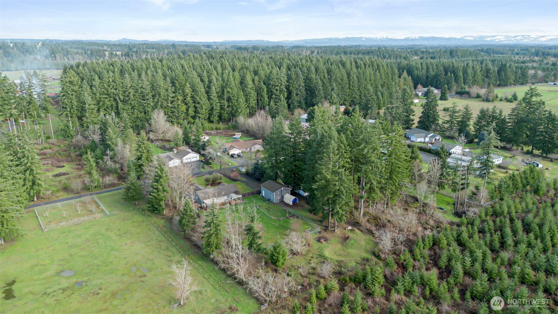 126 Bethany Lane Winlock, WA 98596 - Photo 32 of 37 a view of a green yard with large trees